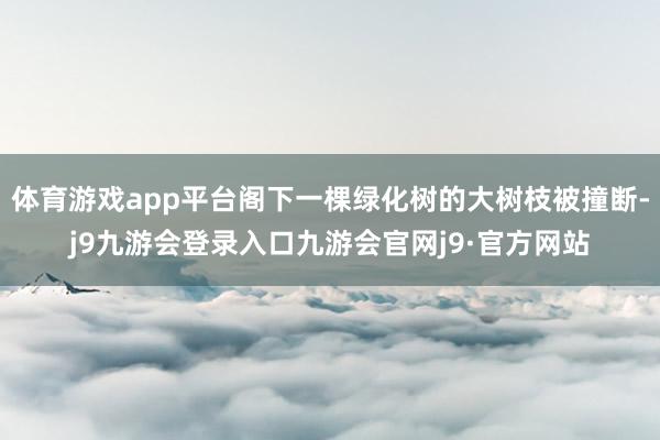 体育游戏app平台阁下一棵绿化树的大树枝被撞断-j9九游会登录入口九游会官网j9·官方网站