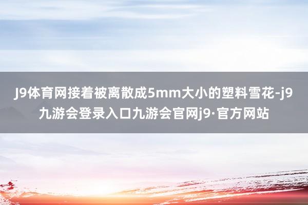 J9体育网接着被离散成5mm大小的塑料雪花-j9九游会登录入口九游会官网j9·官方网站
